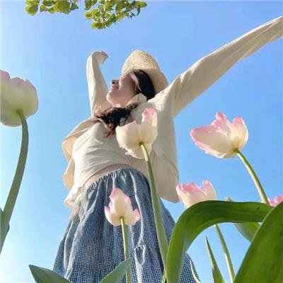 克里斯托弗系列